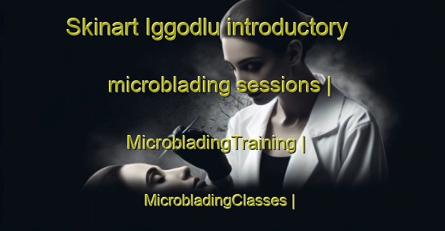Skinart Iggodlu introductory microblading sessions | MicrobladingTraining | MicrobladingClasses | SkinartTraining-India